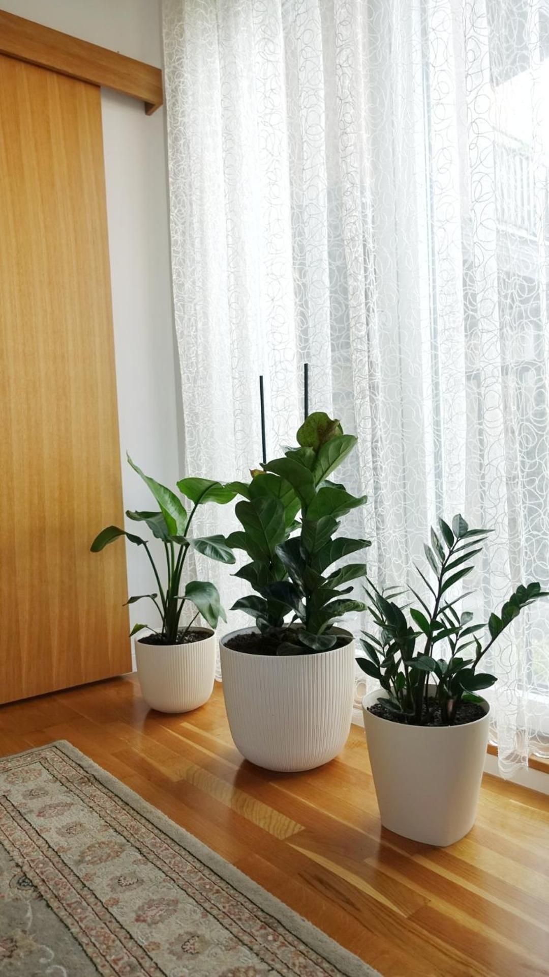 Jc10 Apartment 3 Bedroom, Free Parking, 73Sqm Novi Sad Exterior foto